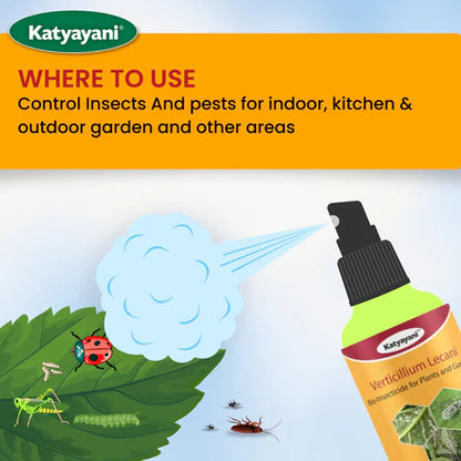 GGV Verticillium lecanii Bio pesticide