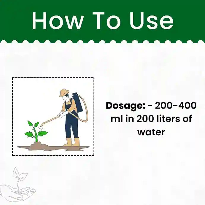 Katyayani Sarvashakti Insecticide | Control Insect of All Vegetable Crops