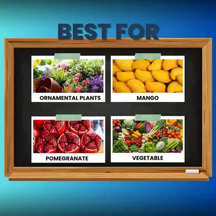 Blackboard with images of pomegranate, mango, and vegetables labeled 'Best For' on a blue background.