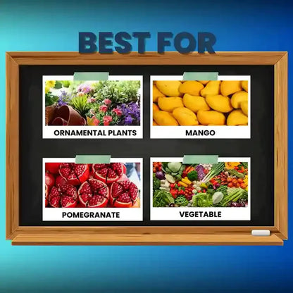 Blackboard with images of pomegranate, mango, and vegetables labeled 'Best For' on a blue background.