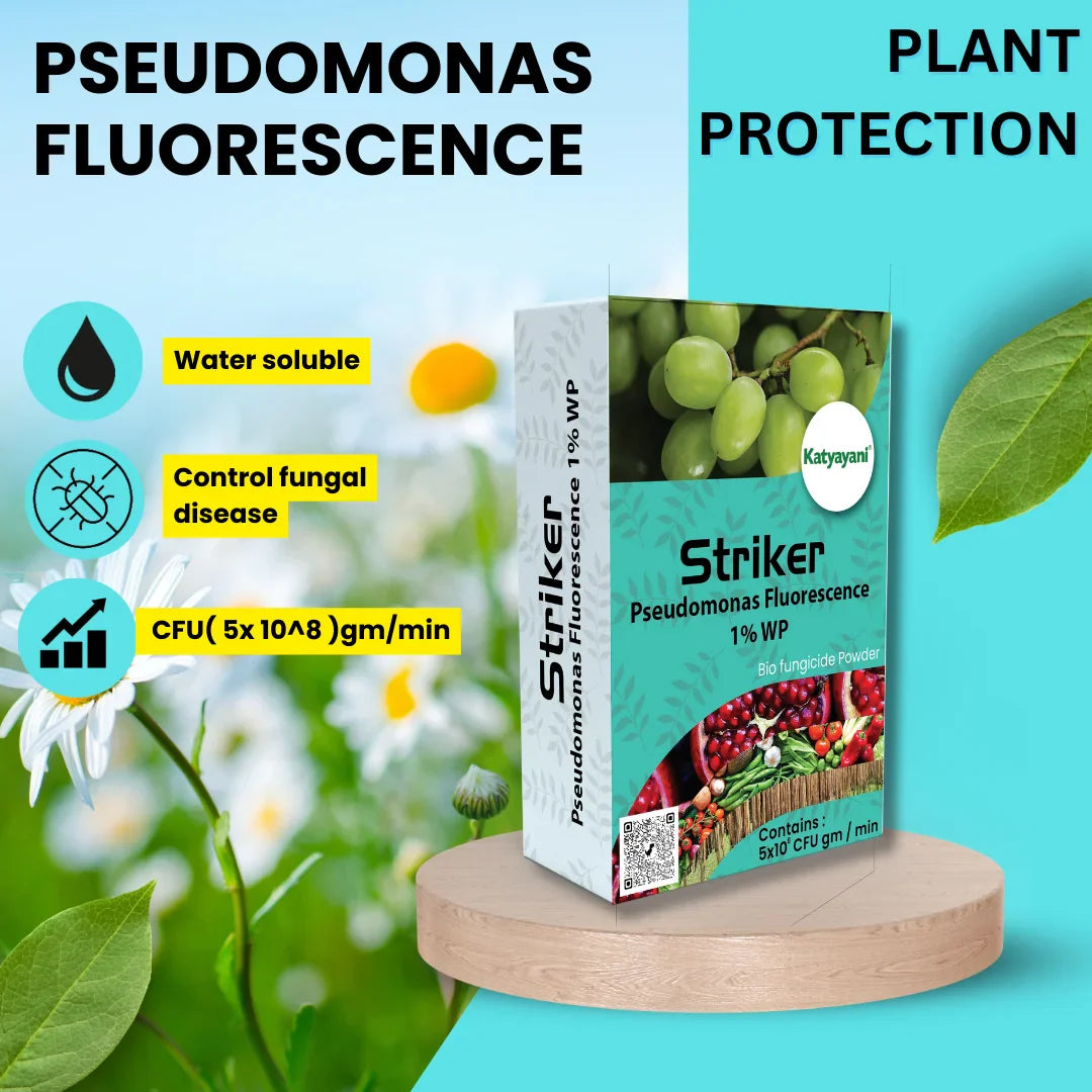 GGV Flowering boooster kit (Bhannat)250 ML,(Bio NPK Consortiaa) 1 KG,(pseudomonas)1 KG