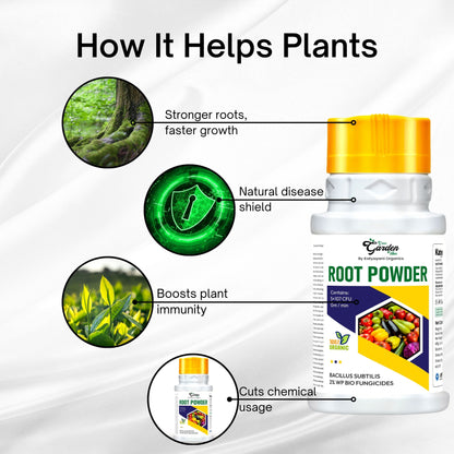 Katyayani Bacillus – Powerful PGPR Microbial Bio-Fungicide for Plant Immunity & Growth (Liquid & Powder Form)