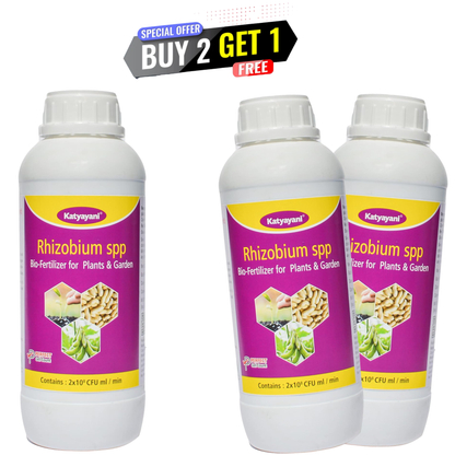 GGV Rhizobium spp Biofertilizer Enhancing Soil Fertility and Plant Productivity Naturally