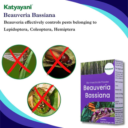 GGV Beauveria Bassiana Bio Insecticide Powder