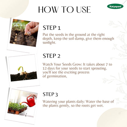 GGV Red Round Radish Vegetable Seeds