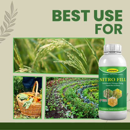 GGV Azotobacter Bio Fertilizer