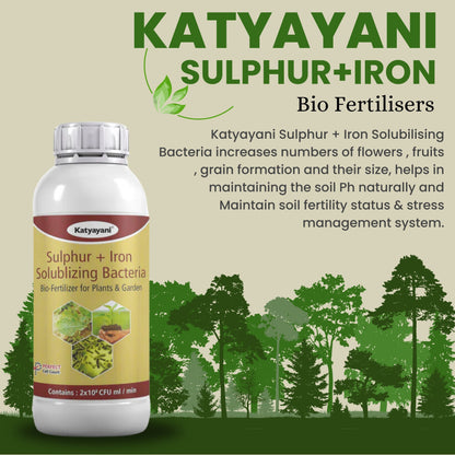 GGV Sulphur + Iron Solubilising Bio Fertilizer
