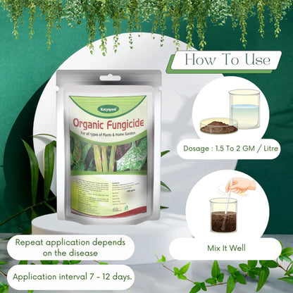 GGV All In 1 Organic Fungicide for Plants – Broad-Spectrum Disease Control | Rust, Blight, Mildew & Rot Solution | UAE Delivery