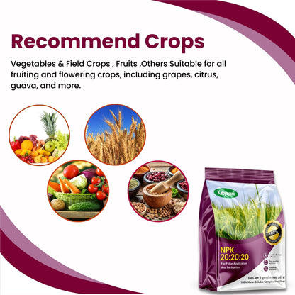 Katyayani NPK 20:20:20 fertilizer
