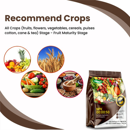 GGV NPK 00 00 50 Fertilizer