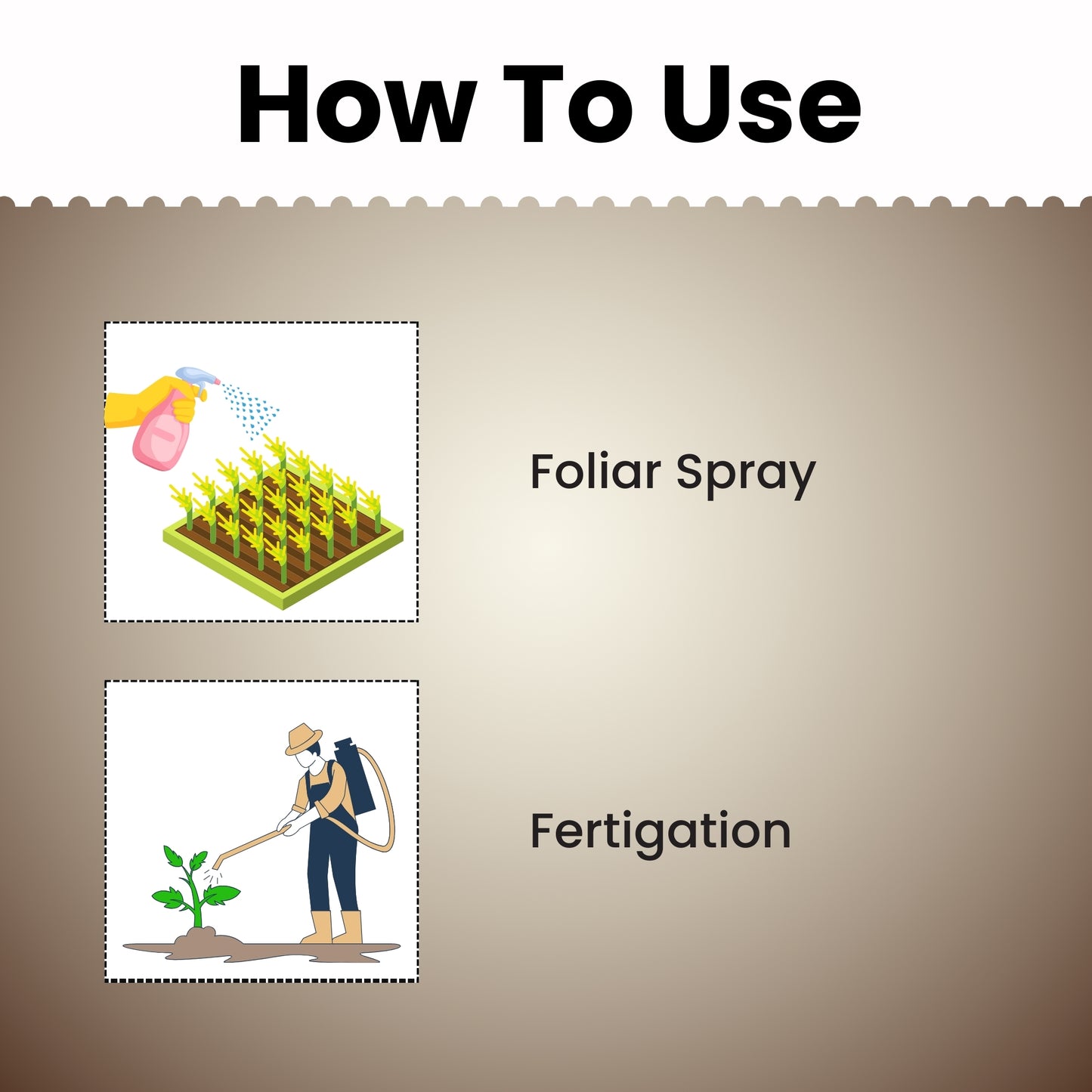 GGV NPK 00 00 50 Fertilizer