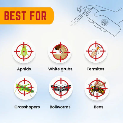 GGV Verticillium lecanii Bio pesticide