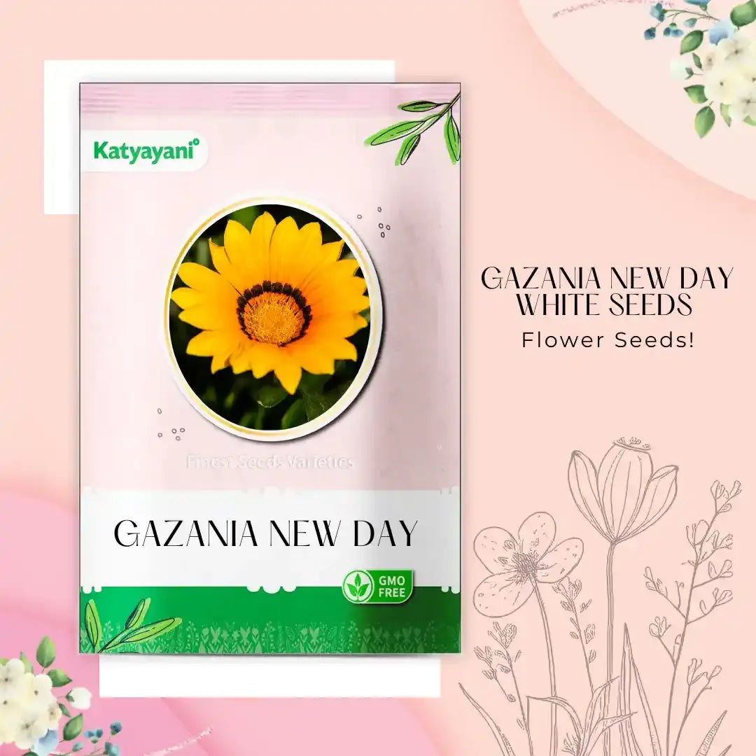 GGV Gazania New Day White Flowering Seeds
