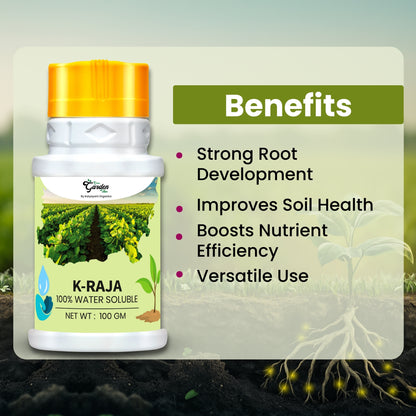 GGV K-RAJA (MYCORRIZA)