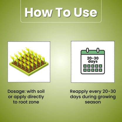 GGV K-RAJA (MYCORRIZA)