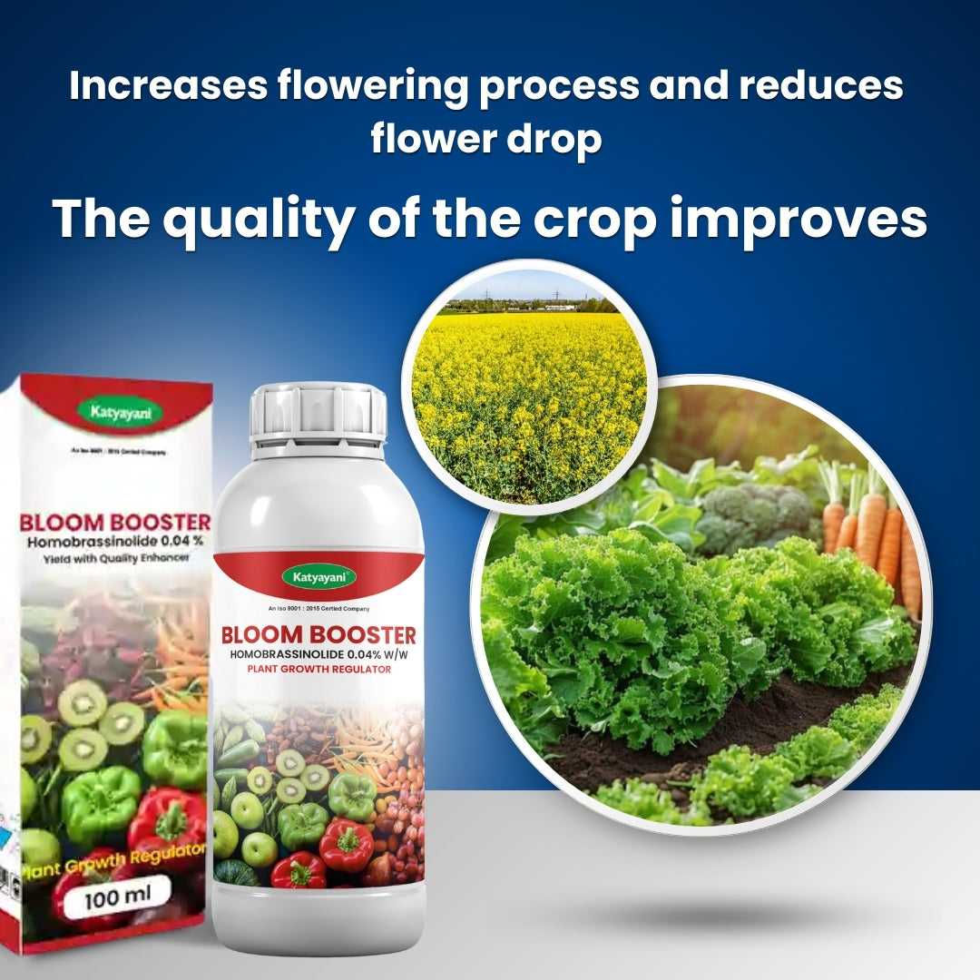 GGV Bloom Booster Triple Pack – Buy 1, Get 2 Free | Homobrassinolide 0.04%