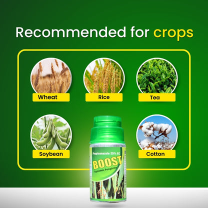 GGV Katyayani Boost Triple Shield Pack – Buy 1, Get 2 Free | Propiconazole 25% EC Systemic Fungicide