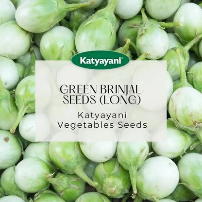 GGV Green Brinjal (Long) Vegetable seeds