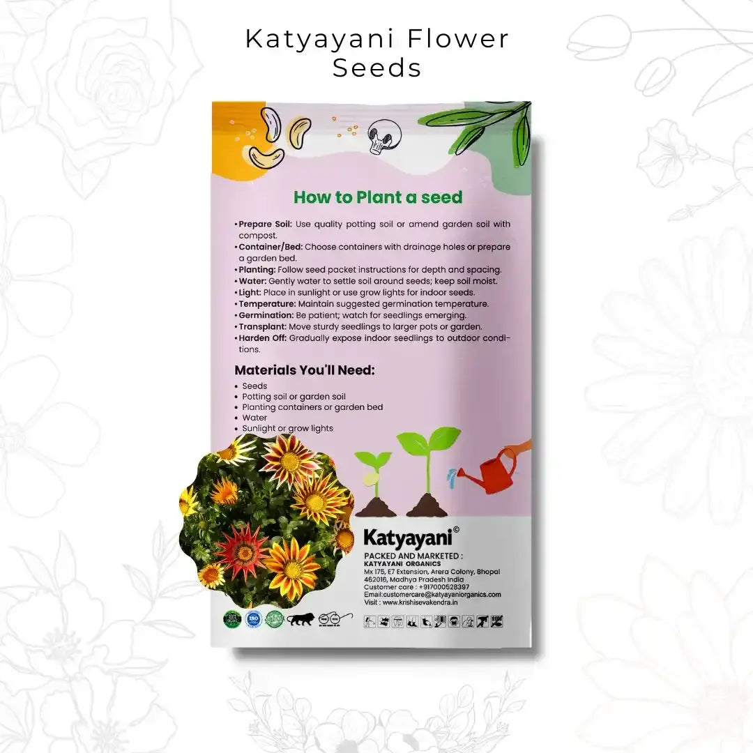 GGV Gazania New Day White Flowering Seeds