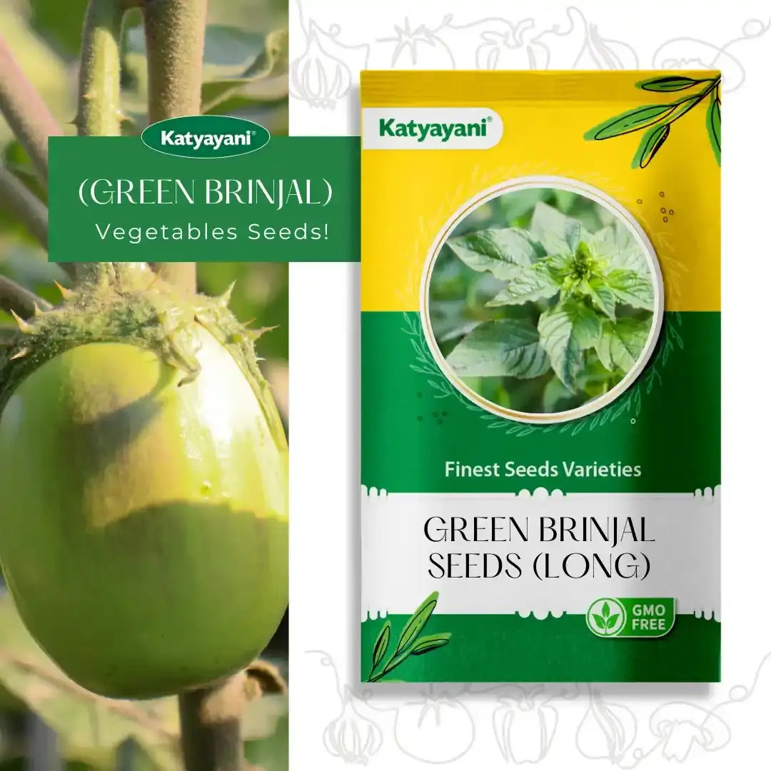 GGV Green Brinjal (Long) Vegetable seeds