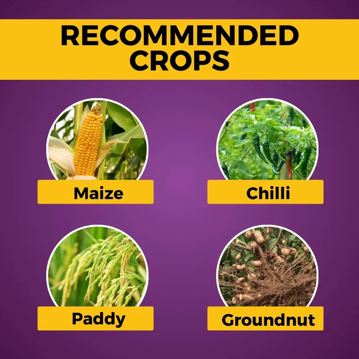 GGV Azogard Fungicide | Azoxystrobin 18.2% + Difenoconazole 11.4% SC | Dual-Action Systemic Fungicide for Complete Disease Protection