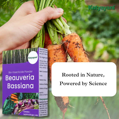 GGV Beauveria Bassiana Bio Insecticide Powder
