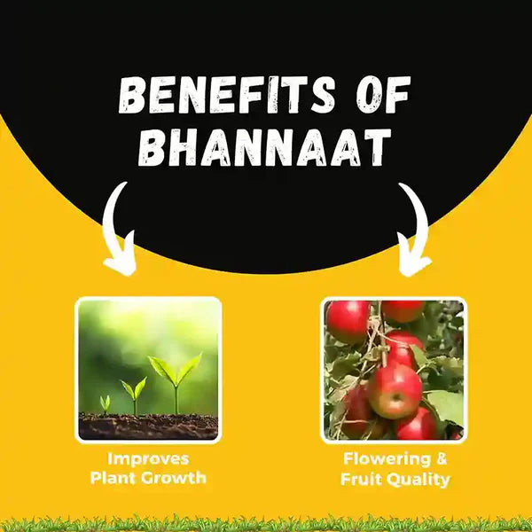 GGV Katyayani Bhannaat | Plant Growth Regulator (250 ML)