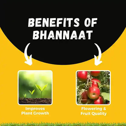 GGV Katyayani Bhannaat | Plant Growth Regulator (250 ML)