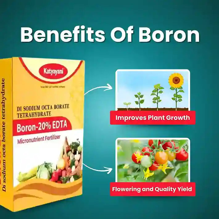 GGV Boron 20% EDTA | Fertilizer for Bitter Gourd, Fruit and Vegetable Crops