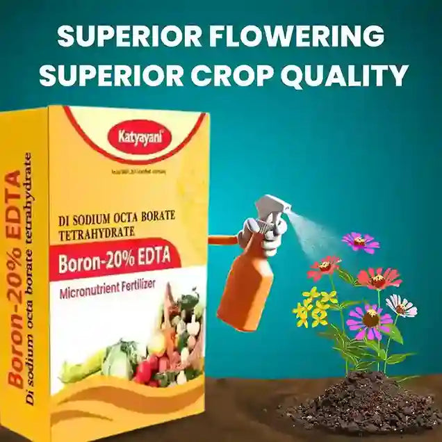 GGV Boron 20% EDTA | Fertilizer for Bitter Gourd, Fruit and Vegetable Crops