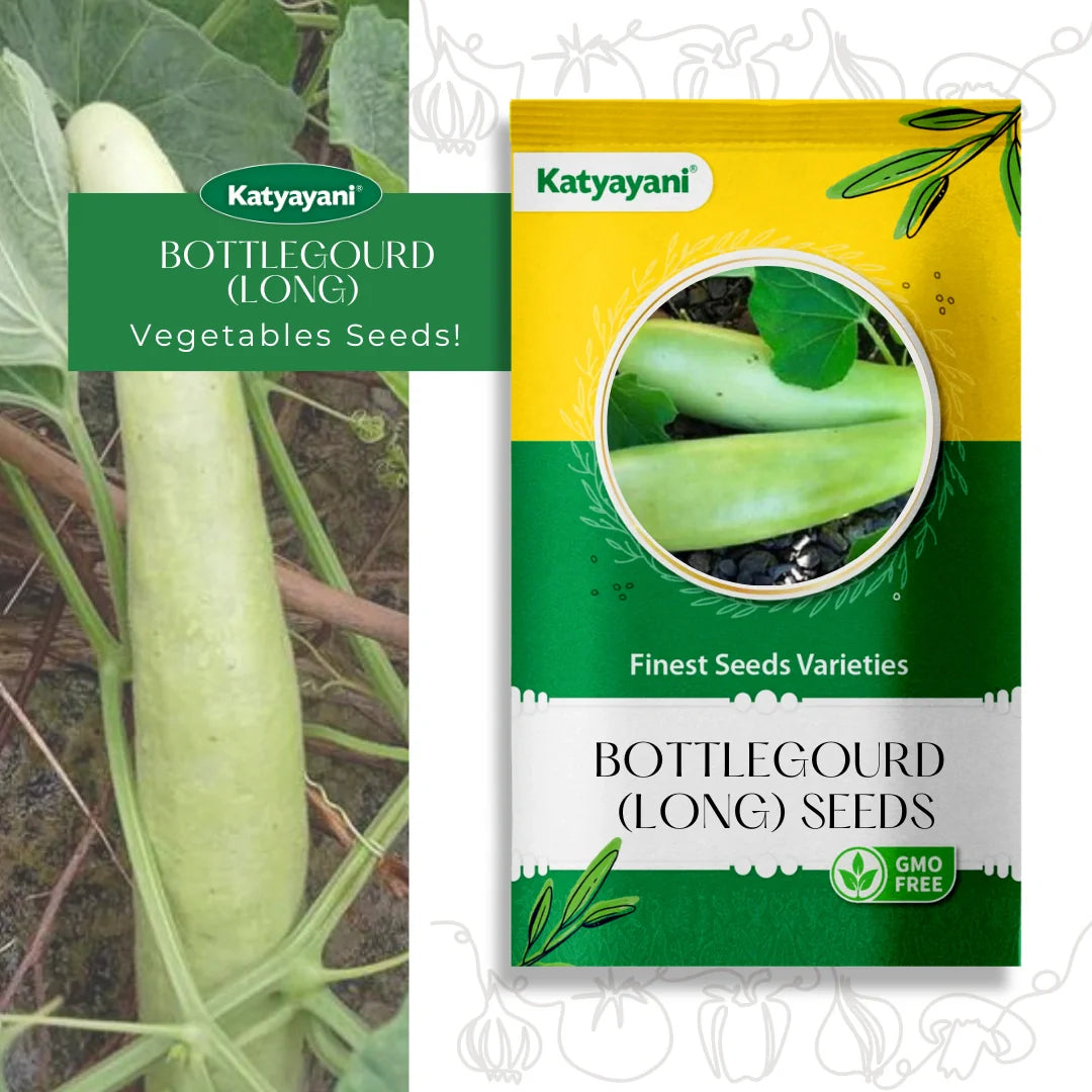 GGV Bottlegourd Seeds (Long) Vegetable Seed