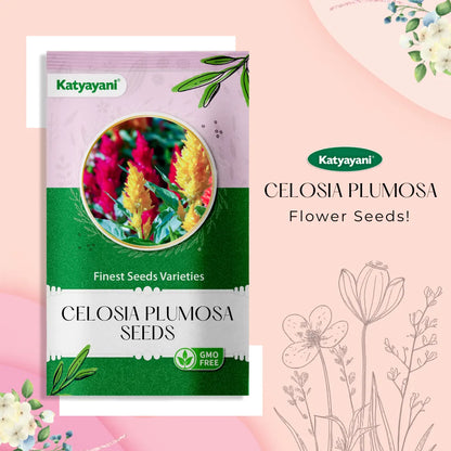 GGV Celosia Plumosa Flowering Seeds