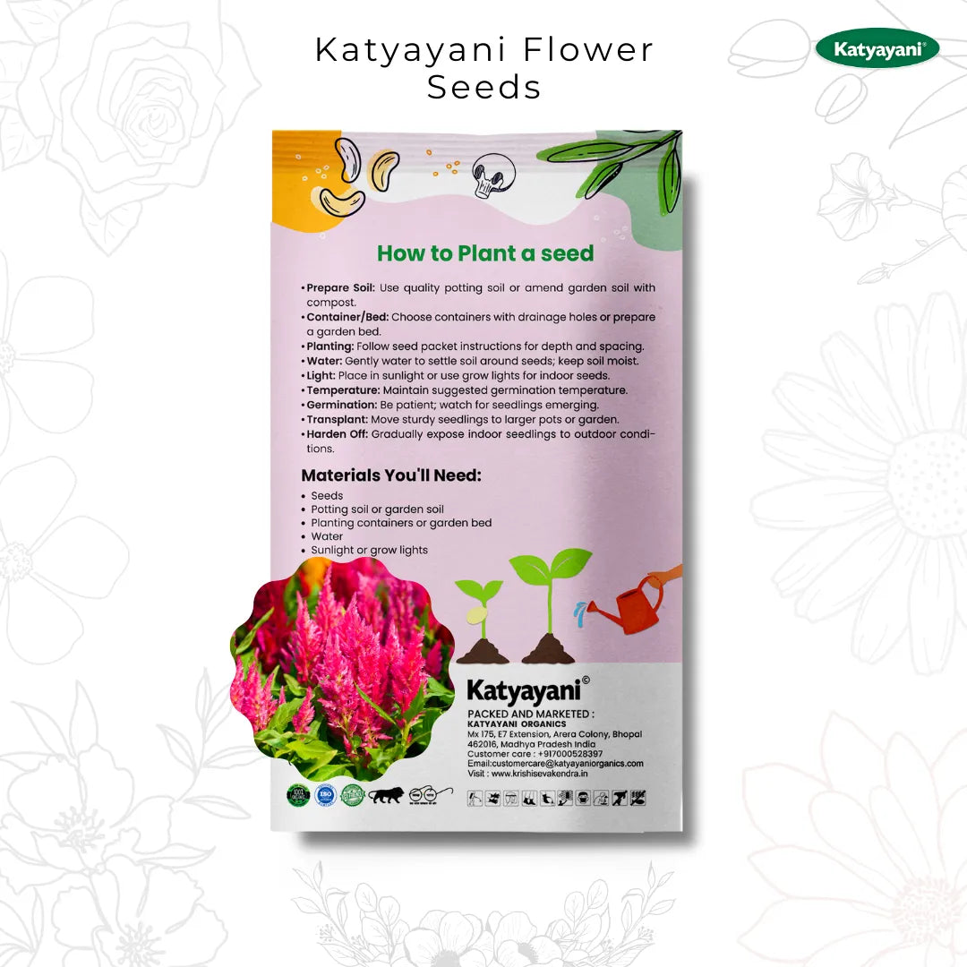 GGV Celosia Plumosa Flowering Seeds