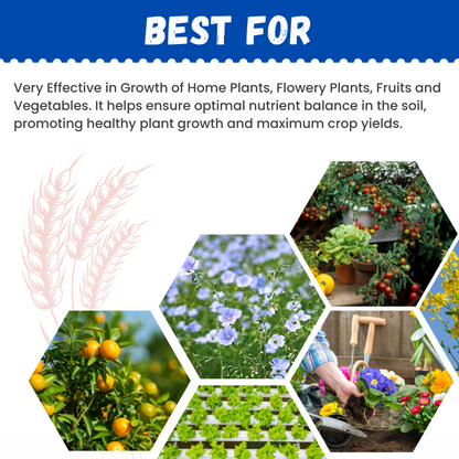 katyayani GGV NPK 12 61 00 (Mono Ammonium Phosphate Water Soluble Fertilizer)