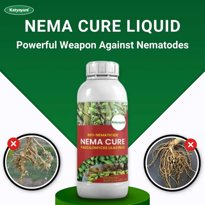 GGV Katyayani Nema Cure | Paecilomyces Lilacinus Bio-Nematicide Liquid | Broad-Spectrum Bio-Nematicide for Root-Knot & Soil Nematodes | Effective for Indoor & Outdoor Plants 1L x 1