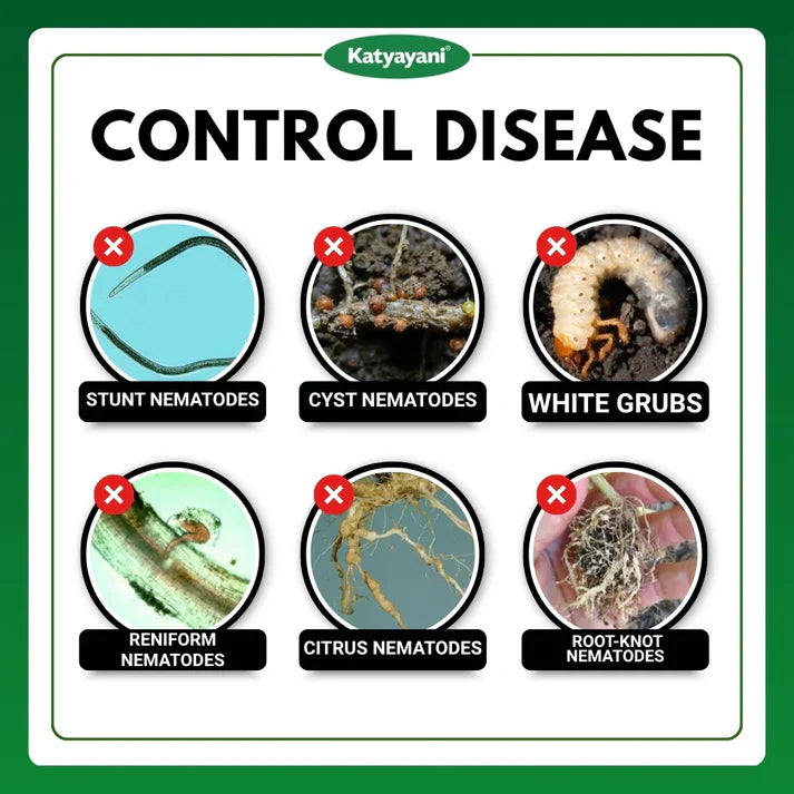 GGV Katyayani Nema Cure | Paecilomyces Lilacinus Bio-Nematicide Liquid | Broad-Spectrum Bio-Nematicide for Root-Knot & Soil Nematodes | Effective for Indoor & Outdoor Plants 1L x 1