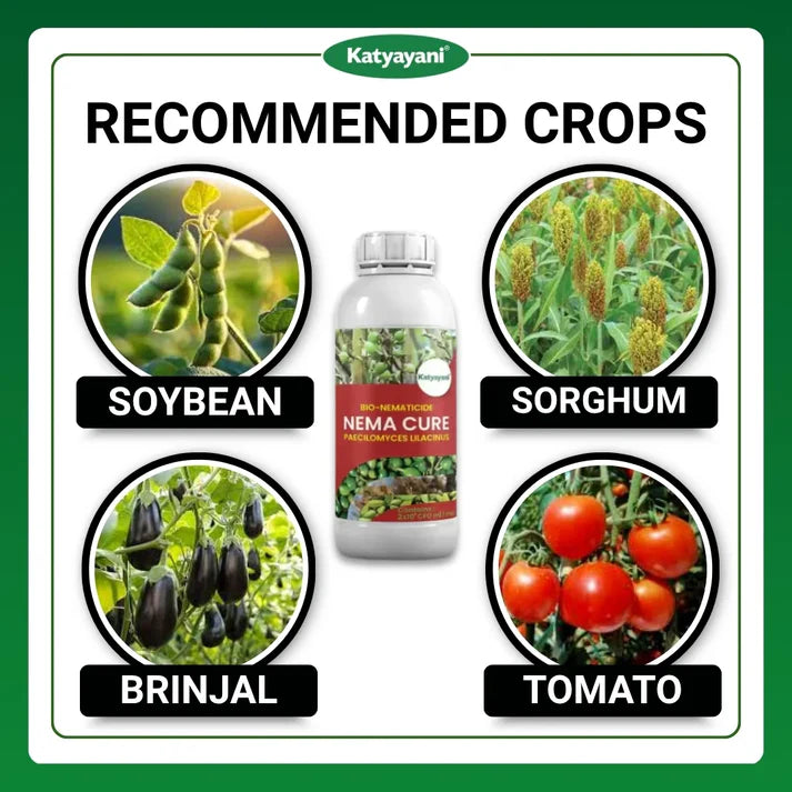 GGV Katyayani Nema Cure | Paecilomyces Lilacinus Bio-Nematicide Liquid | Broad-Spectrum Bio-Nematicide for Root-Knot & Soil Nematodes | Effective for Indoor & Outdoor Plants 1L x 1