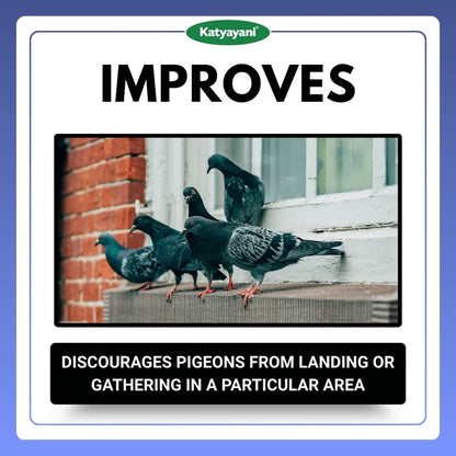 GGV Pigeon Repellent – Humane Bird Control Solution | Gel-Based Formula | Eco-Safe for Homes, Farms, and Commercial Spaces – Now in UAE