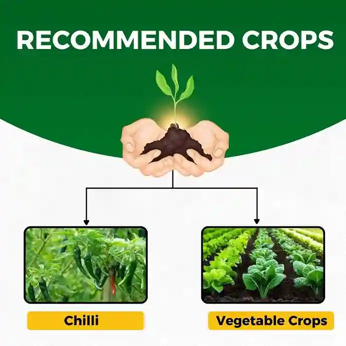 Katyayani Sarvashakti Insecticide | Control Insect of All Vegetable Crops