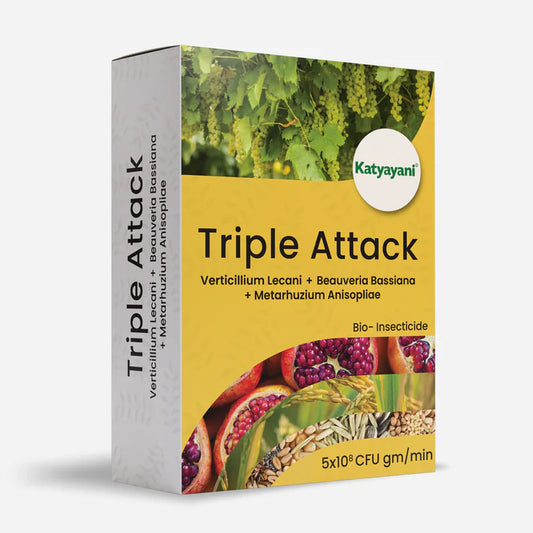 GGV TRIPLE ATTACK POWDER | VERTICILLIUM LECANII + BEAUVERIA BASSIANA + METARHIZIUM ANISOPLIAE | BIO PESTICIDE