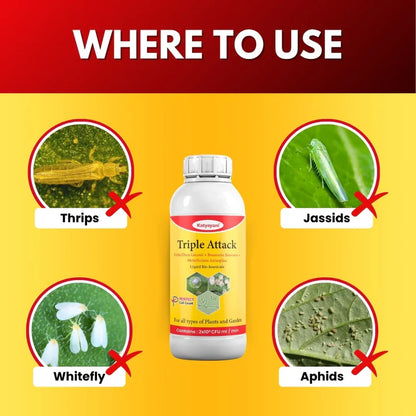 GGV Katyayani Triple Attack | Organic Liquid Insecticide for Thrips, Mealybug & Chewing Pests | Bio-Control for Vegetables, Fruits & Cereals | Buy 1 Get 2 Free Offer