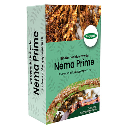 GGV KATYAYANI NEMA PRIME (Pochonia chlamydposporia 1% ) BIO PESTICIDE POWDER