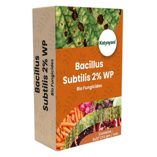GGV Bacillus Subtilis 2% WP | Powder Bio Fungicide