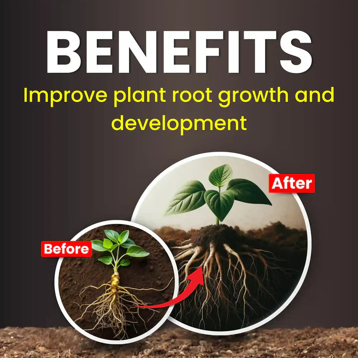 GGV Vesicular Arbuscular Mycorrhiza | Bio fertilizer