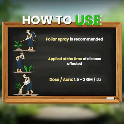 GGV Katyayani All In 1 Organic Fungicide for Plants – Broad-Spectrum Disease Control