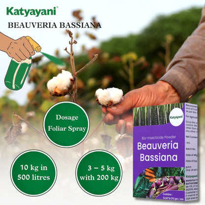 GGV Beauveria Bassiana Bio Insecticide Powder