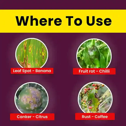 GGV Katyayani COC 50 | Copper Oxychloride 50% WP | Fungicide for Rust Disease (450 Grams)