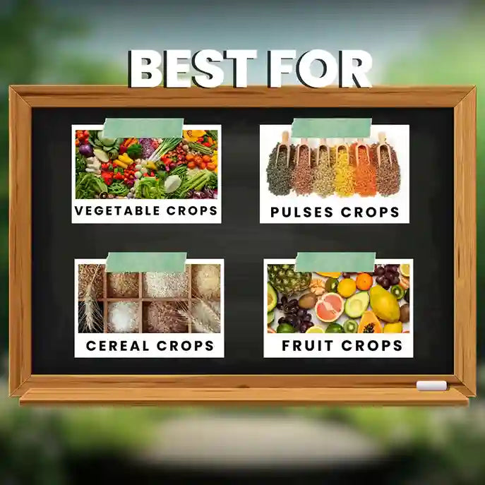 GGV Katyayani All In 1 Organic Fungicide for Plants – Broad-Spectrum Disease Control