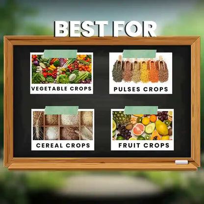 GGV Katyayani All In 1 Organic Fungicide for Plants – Broad-Spectrum Disease Control