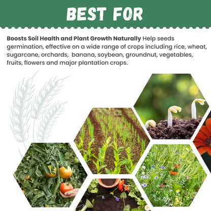Katyayani Humic Acid + Fulvic Acid – The Ultimate Organic Growth Booster for UAE Farming Conditions